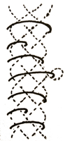 apons2.jpg (17314 octets)